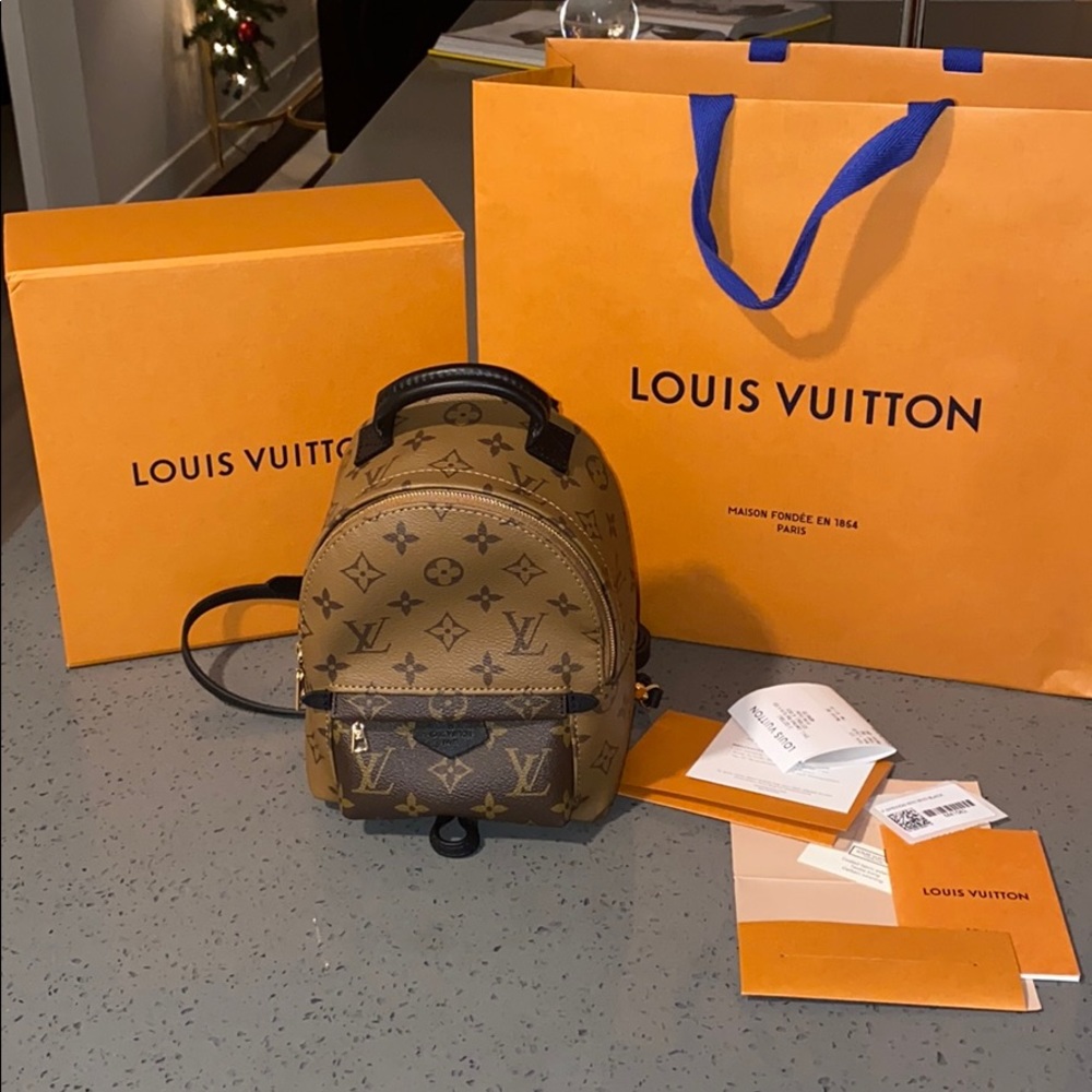 Louis Vuitton Palm Spring Mini Backpack